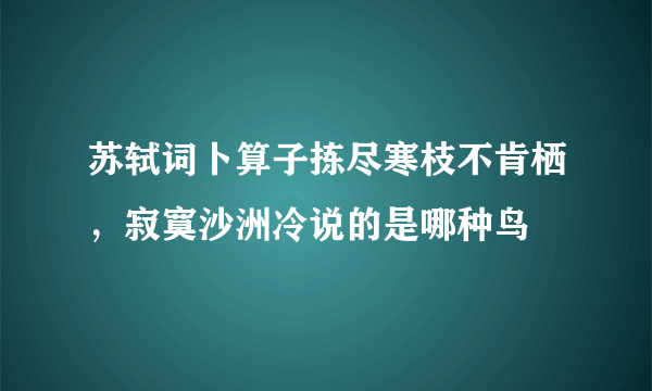 苏轼词卜算子拣尽寒枝不肯栖，寂寞沙洲冷说的是哪种鸟