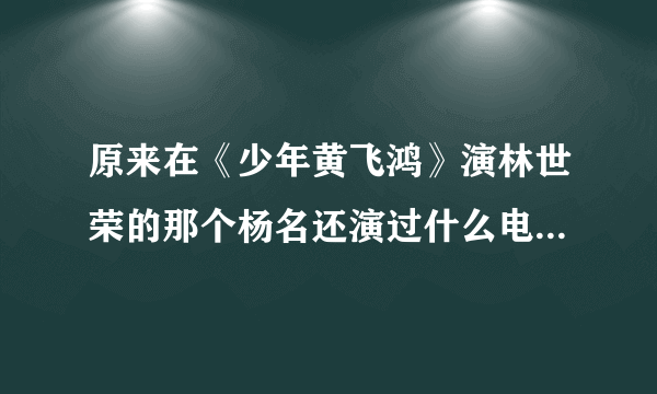 原来在《少年黄飞鸿》演林世荣的那个杨名还演过什么电视剧吗？