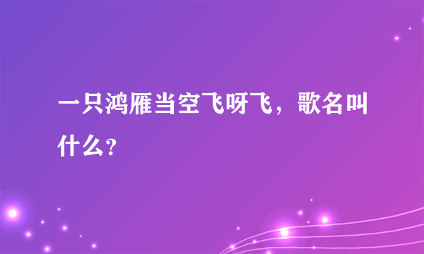 一只鸿雁当空飞呀飞，歌名叫什么？