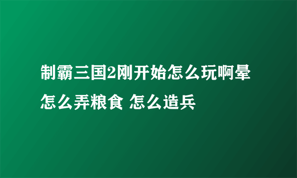 制霸三国2刚开始怎么玩啊晕 怎么弄粮食 怎么造兵