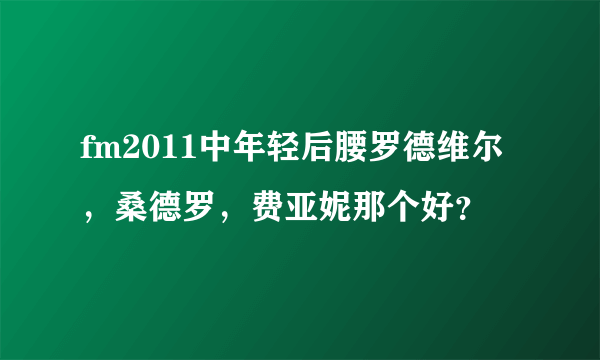 fm2011中年轻后腰罗德维尔，桑德罗，费亚妮那个好？