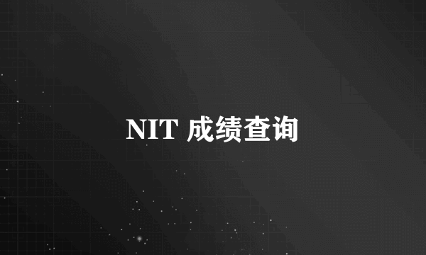 NIT 成绩查询