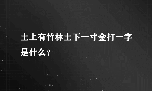 土上有竹林土下一寸金打一字是什么？