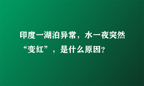 印度一湖泊异常，水一夜突然“变红”，是什么原因？