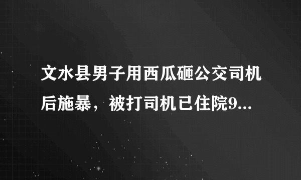 文水县男子用西瓜砸公交司机后施暴，被打司机已住院9天, 你怎么看？