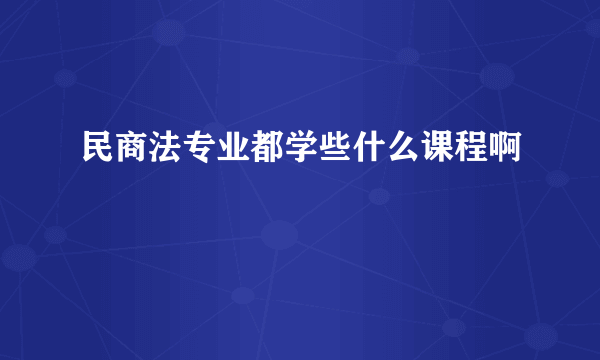 民商法专业都学些什么课程啊