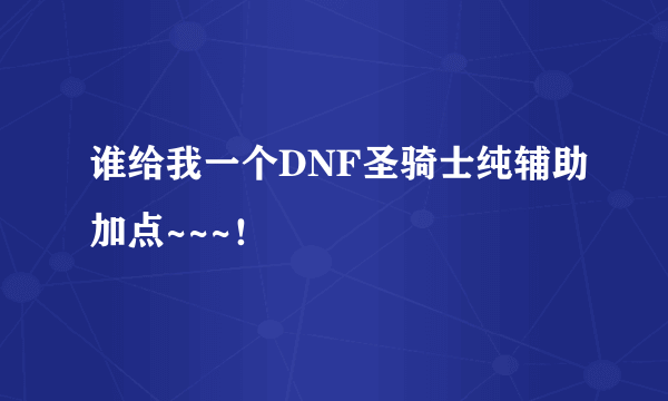 谁给我一个DNF圣骑士纯辅助加点~~~！