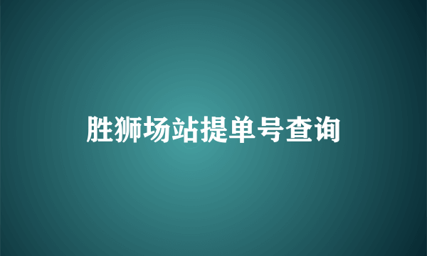 胜狮场站提单号查询