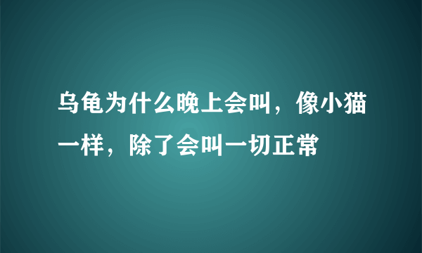 乌龟为什么晚上会叫，像小猫一样，除了会叫一切正常