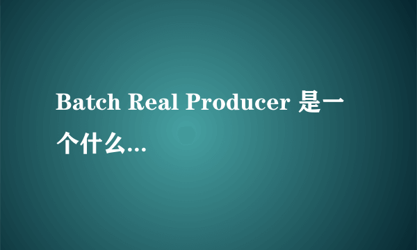 Batch Real Producer 是一个什么样的软件