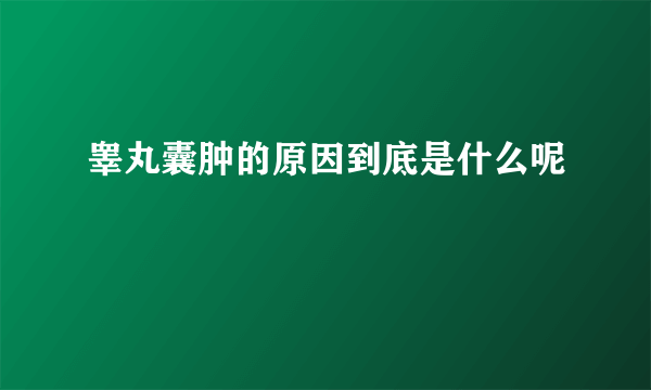 睾丸囊肿的原因到底是什么呢