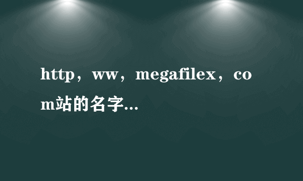 http，ww，megafilex，com站的名字我修改了.现在我打不开了.以前可以的.别的电脑可以我的就不可以？为什么