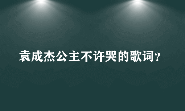 袁成杰公主不许哭的歌词？