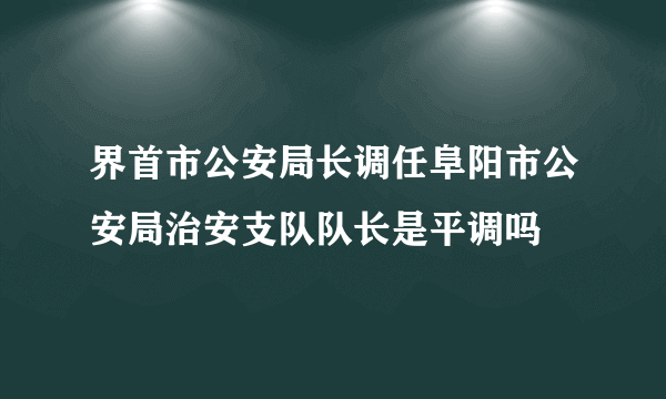 界首市公安局长调任阜阳市公安局治安支队队长是平调吗