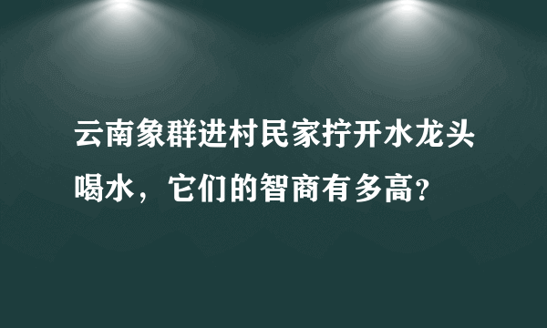 云南象群进村民家拧开水龙头喝水，它们的智商有多高？