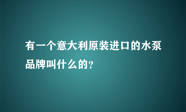 有一个意大利原装进口的水泵品牌叫什么的？