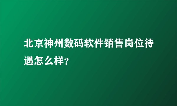 北京神州数码软件销售岗位待遇怎么样？