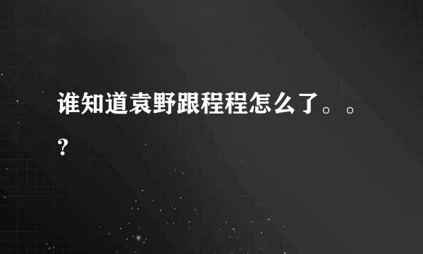 谁知道袁野跟程程怎么了。。？