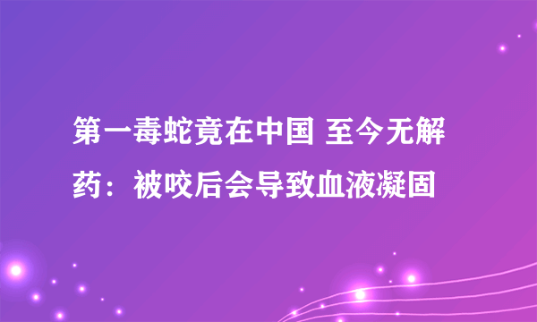 第一毒蛇竟在中国 至今无解药：被咬后会导致血液凝固