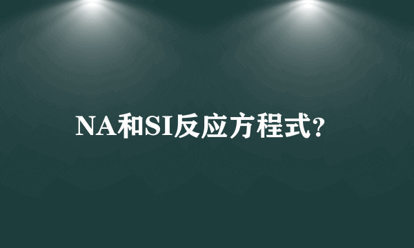 NA和SI反应方程式？