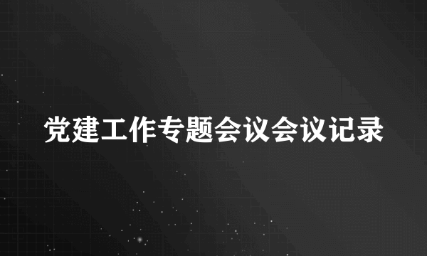 党建工作专题会议会议记录