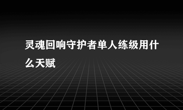 灵魂回响守护者单人练级用什么天赋