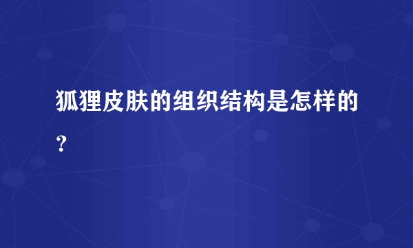 狐狸皮肤的组织结构是怎样的？