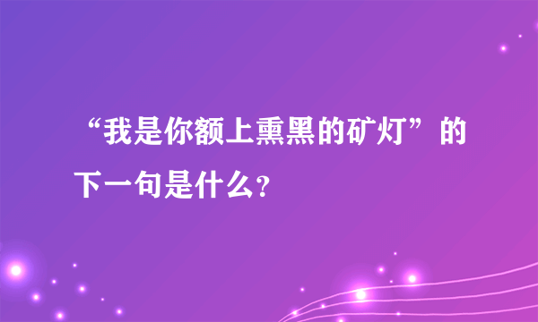 “我是你额上熏黑的矿灯”的下一句是什么？