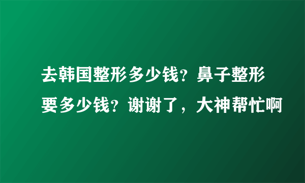 去韩国整形多少钱？鼻子整形要多少钱？谢谢了，大神帮忙啊