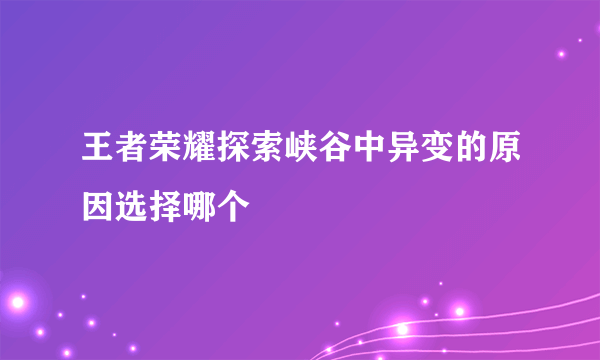 王者荣耀探索峡谷中异变的原因选择哪个