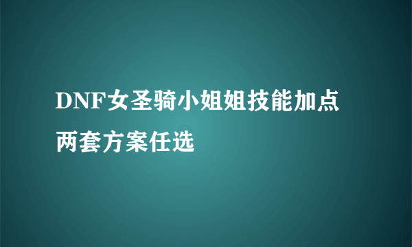 DNF女圣骑小姐姐技能加点 两套方案任选