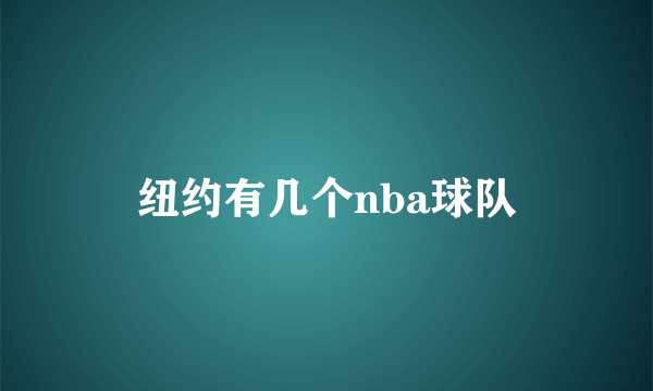 纽约有几个nba球队