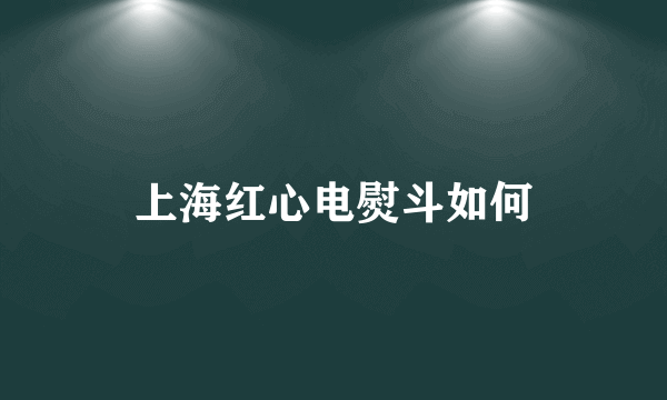 上海红心电熨斗如何