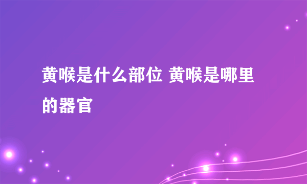 黄喉是什么部位 黄喉是哪里的器官