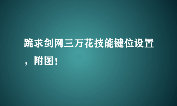 跪求剑网三万花技能键位设置，附图！