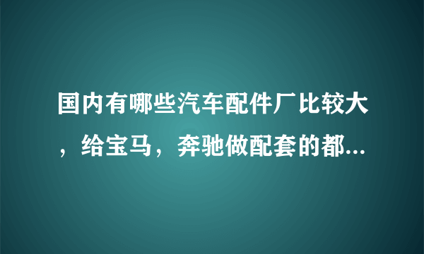 国内有哪些汽车配件厂比较大，给宝马，奔驰做配套的都有哪家？望行业内人士给予回答，谢谢！