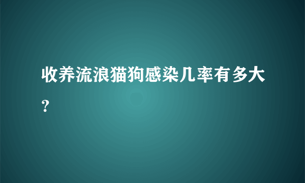 收养流浪猫狗感染几率有多大？