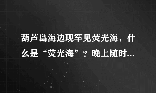 葫芦岛海边现罕见荧光海，什么是“荧光海”？晚上随时可以看到吗？