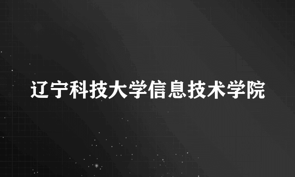 辽宁科技大学信息技术学院