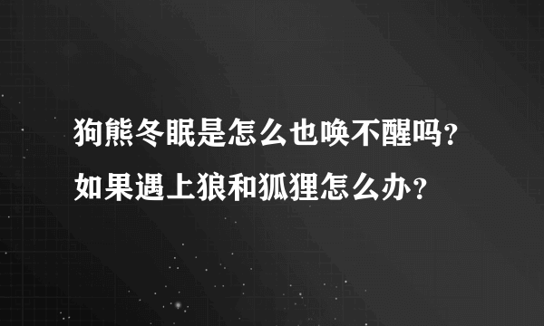 狗熊冬眠是怎么也唤不醒吗？如果遇上狼和狐狸怎么办？