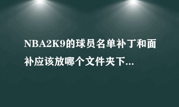 NBA2K9的球员名单补丁和面补应该放哪个文件夹下？怎样读取？