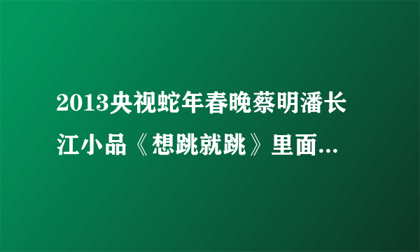 2013央视蛇年春晚蔡明潘长江小品《想跳就跳》里面的歌曲叫什么名字