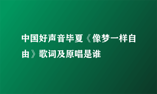 中国好声音毕夏《像梦一样自由》歌词及原唱是谁