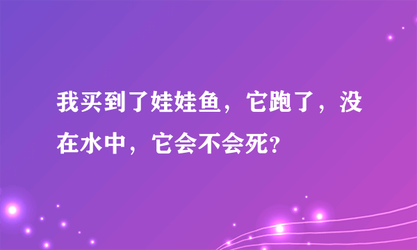 我买到了娃娃鱼，它跑了，没在水中，它会不会死？