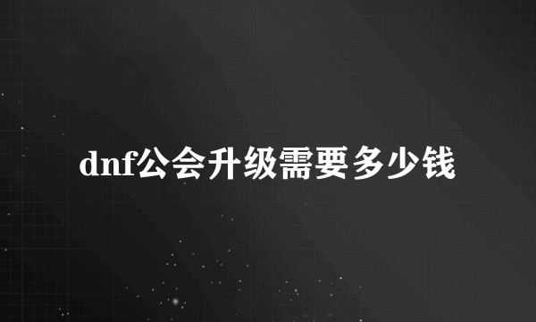 dnf公会升级需要多少钱