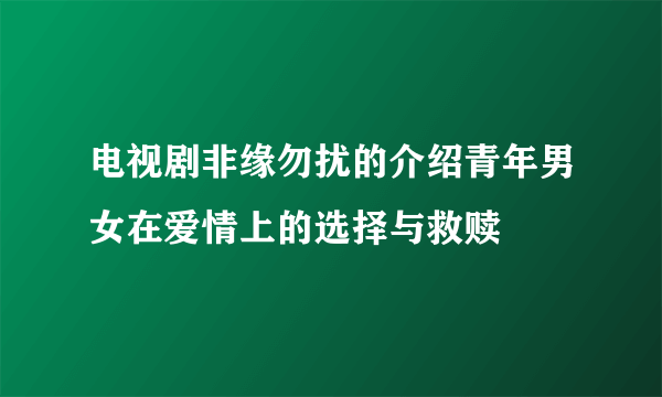 电视剧非缘勿扰的介绍青年男女在爱情上的选择与救赎