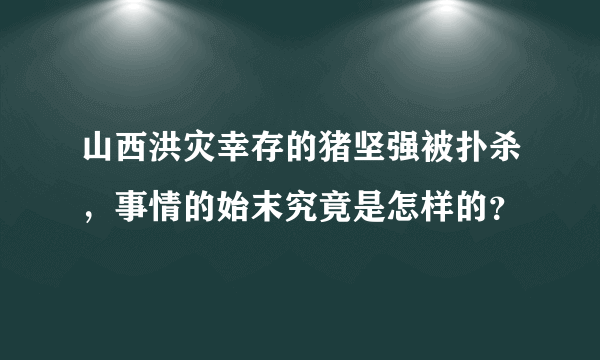 山西洪灾幸存的猪坚强被扑杀，事情的始末究竟是怎样的？