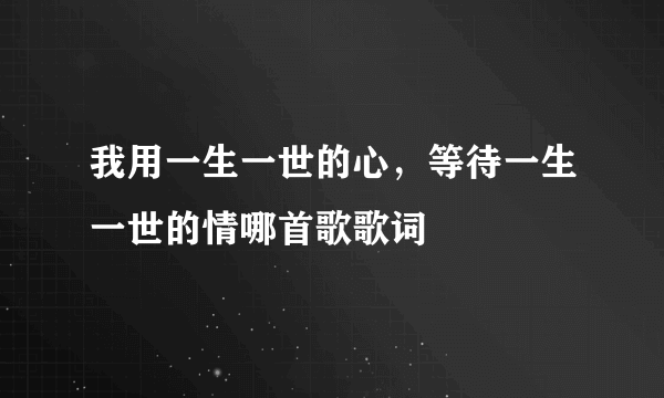 我用一生一世的心，等待一生一世的情哪首歌歌词