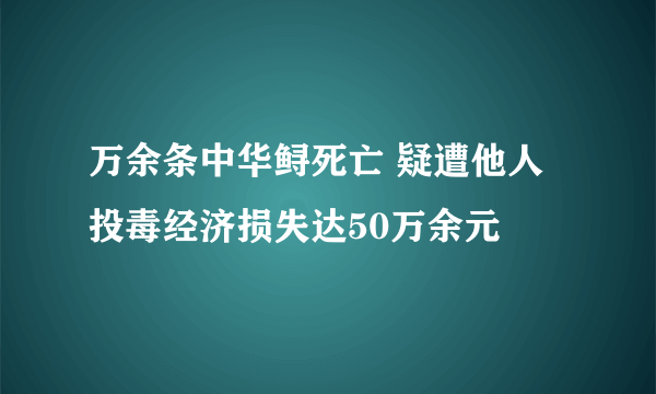 万余条中华鲟死亡 疑遭他人投毒经济损失达50万余元