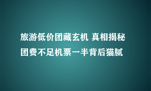 旅游低价团藏玄机 真相揭秘团费不足机票一半背后猫腻